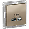 USB РОЗЕТКА, 5В/2,1 А, механизм, ШАМПАНЬ