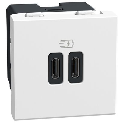 Light Now - двойная USB розетка, 2 x Type-C 30W, 2 модуля, цвет белый
