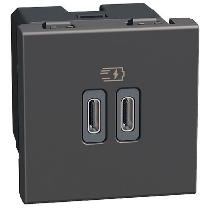 Light Now - двойная USB розетка, 2 x Type-C 30W, 2 модуля, цвет черный